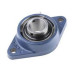 Подшипниковый узел типа FYTB с литым фланцевым овальным корпусом, со стопорным винтом, для дюймовых валов FYT 1.3/4 TF